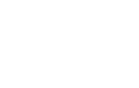 leessummit solstice logo white